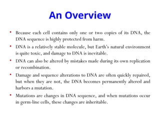 An Overview
• Because each cell contains only one or two copies of its DNA, the
DNA sequence is highly protected from harm.
• DNA is a relatively stable molecule, but Earth’s natural environment
is quite toxic, and damage to DNA is inevitable.
• DNA can also be altered by mistakes made during its own replication
or recombination.
• Damage and sequence alterations to DNA are often quickly repaired,
but when they are not, the DNA becomes permanently altered and
harbors a mutation.
• Mutations are changes in DNA sequence, and when mutations occur
in germ-line cells, these changes are inheritable.
 