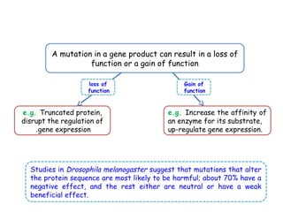 A mutation in a gene product can result in a loss of
function or a gain of function
e.g. Truncated protein,
disrupt the regulation of
gene expression
.
e.g. Increase the affinity of
an enzyme for its substrate,
up-regulate gene expression.
loss of
function
Gain of
function
Studies in Drosophila melanogaster suggest that mutations that alter
the protein sequence are most likely to be harmful; about 70% have a
negative effect, and the rest either are neutral or have a weak
beneficial effect.
 
