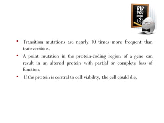 • Transition mutations are nearly 10 times more frequent than
transversions.
• A point mutation in the protein-coding region of a gene can
result in an altered protein with partial or complete loss of
function.
• If the protein is central to cell viability, the cell could die.
 