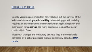 INTRODUCTION:
Genetic variations are important for evolution but the survival of the
individual demands genetic stability. Maintaining genetic stability
requires an extremely accurate mechanism for replicating DNA and
mechanism for repairing the many accidental lesions that occur
continually in DNA.
Most such changes are temporary because they are immediately
corrected by a set of processes that are collectively called as DNA
repair.
 