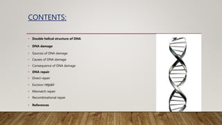CONTENTS:
• Double helical structure of DNA
• DNA damage
• Sources of DNA damage
• Causes of DNA damage
• Consequence of DNA damage
• DNA repair
• Direct repair
• Excision repair
• Mismatch repair
• Recombinational repair
• References
 