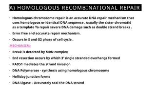 DNA Damage and Repair Mechanism With Associated Diseases . | PPTX
