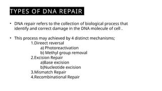 DNA Damage and Repair Mechanism With Associated Diseases . | PPTX