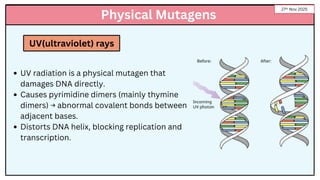 DNA Damage and Repair Mechanisms | Presentation by Sameer Khan | PDF