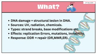 DNA Damage and Repair Mechanisms | Presentation by Sameer Khan | PDF