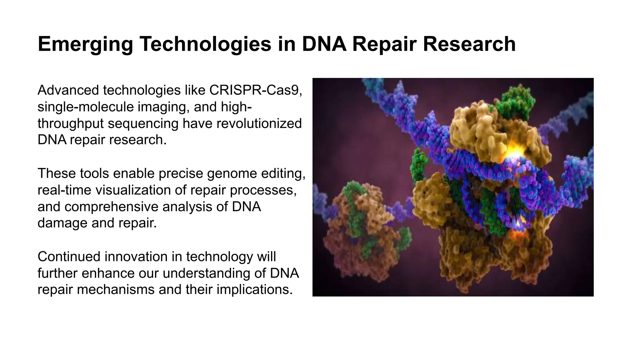 DNA DAMAGE AND REPAIR MECHANISM (M.sc Botany).pptx