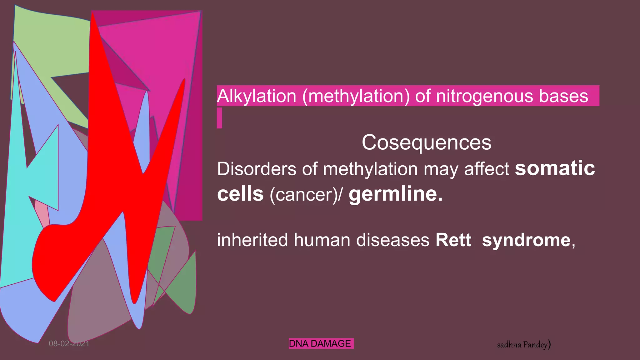 08-02-2021 DNA DAMAGE sadhna Pandey)
Alkylation (methylation) of nitrogenous bases
Cosequences
Disorders of methylation may affect somatic
cells (cancer)/ germline.
inherited human diseases Rett syndrome,
 
