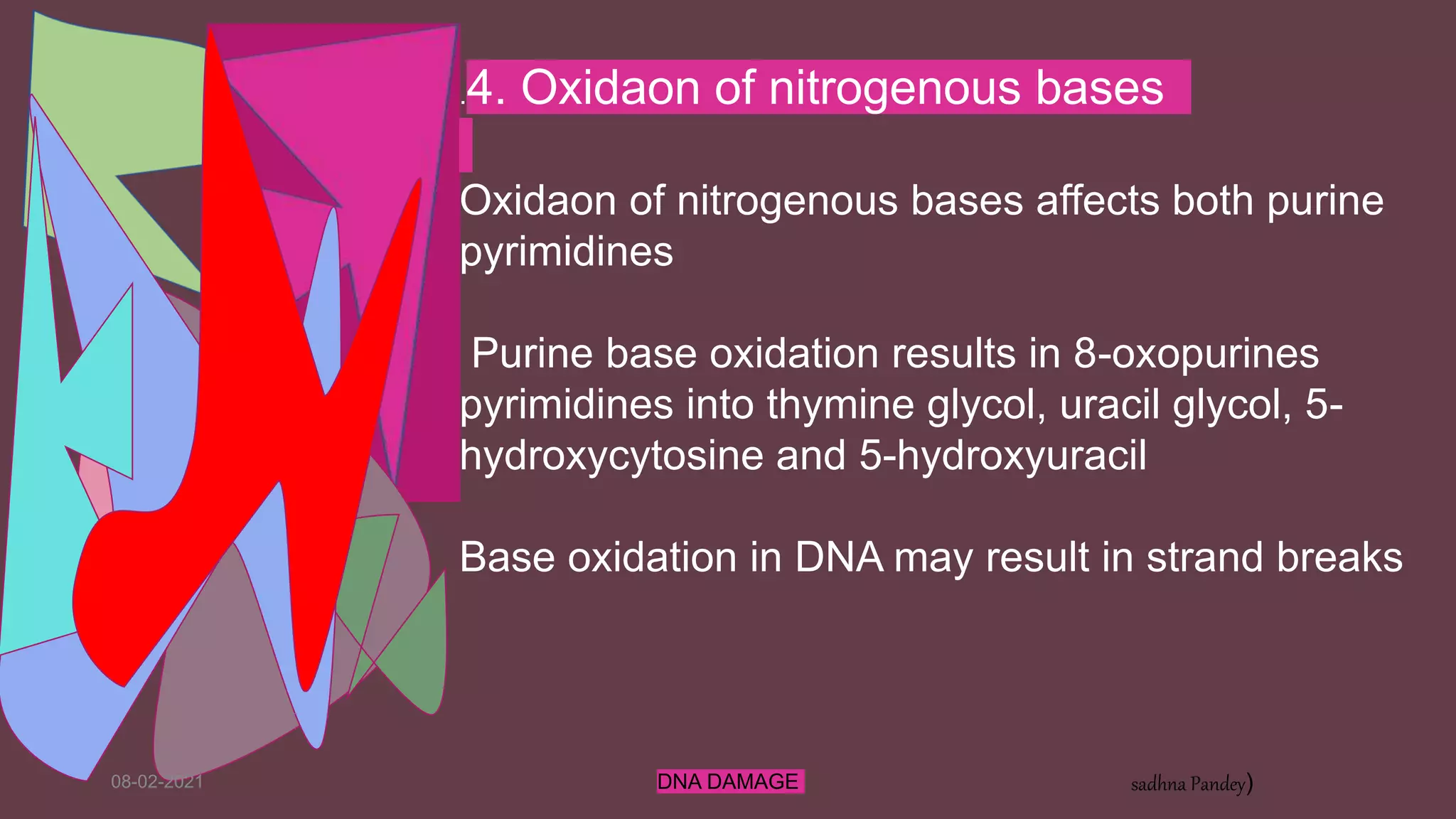 08-02-2021 DNA DAMAGE sadhna Pandey)
.4. Oxidaon of nitrogenous bases
Oxidaon of nitrogenous bases affects both purine
pyrimidines
Purine base oxidation results in 8-oxopurines
pyrimidines into thymine glycol, uracil glycol, 5-
hydroxycytosine and 5-hydroxyuracil
Base oxidation in DNA may result in strand breaks
 