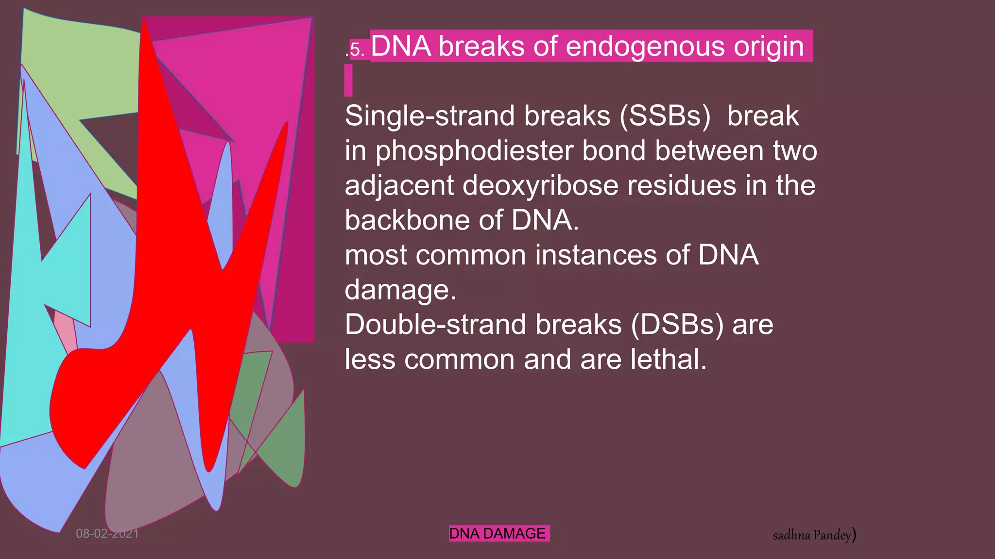 08-02-2021 DNA DAMAGE sadhna Pandey)
.5. DNA breaks of endogenous origin
Single-strand breaks (SSBs) break
in phosphodiester bond between two
adjacent deoxyribose residues in the
backbone of DNA.
most common instances of DNA
damage.
Double-strand breaks (DSBs) are
less common and are lethal.
 