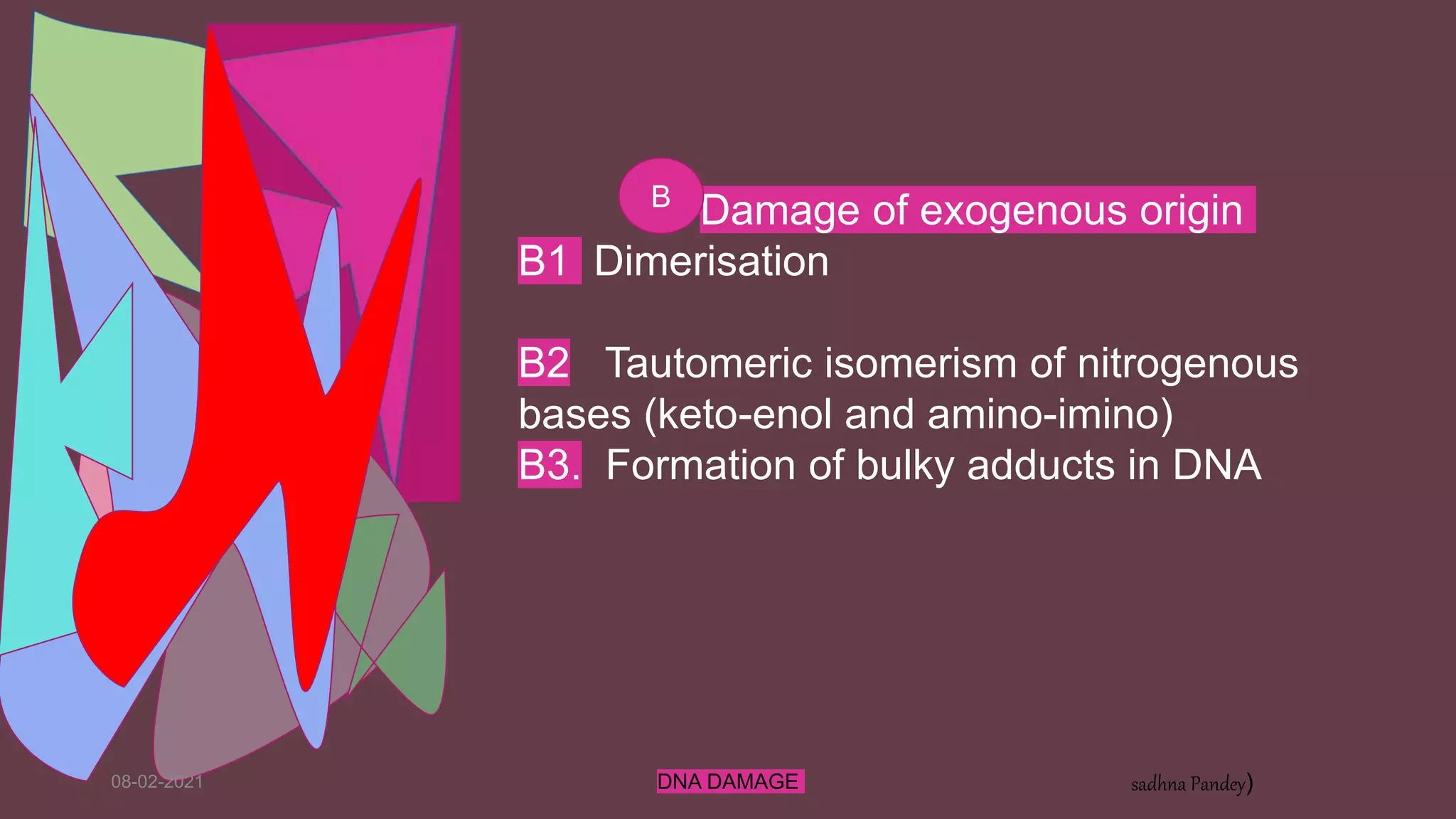 08-02-2021 DNA DAMAGE sadhna Pandey)
. Damage of exogenous origin
B1 Dimerisation
B2 Tautomeric isomerism of nitrogenous
bases (keto-enol and amino-imino)
B3. Formation of bulky adducts in DNA
B
 