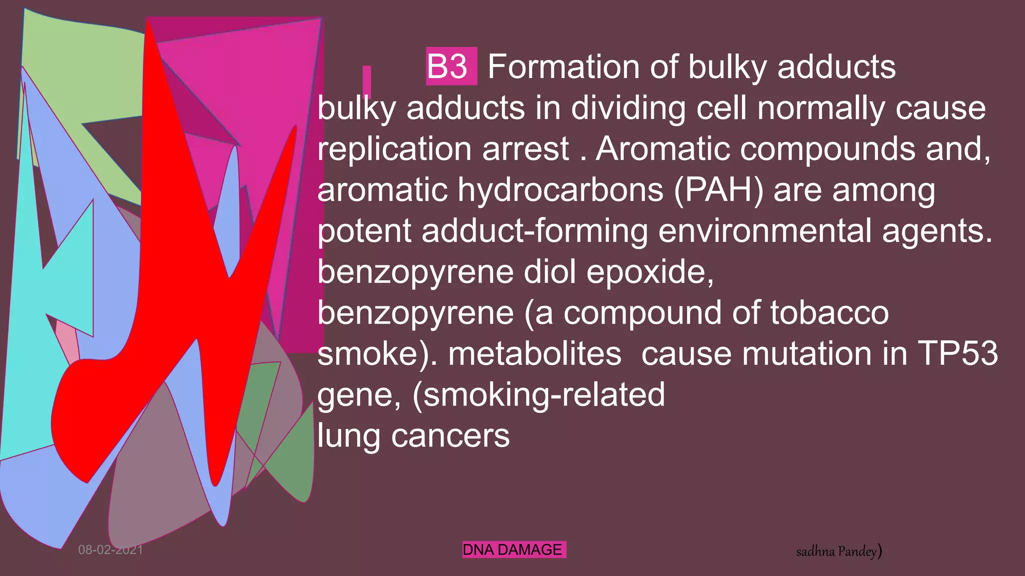 08-02-2021 DNA DAMAGE sadhna Pandey)
B3 Formation of bulky adducts
bulky adducts in dividing cell normally cause
replication arrest . Aromatic compounds and,
aromatic hydrocarbons (PAH) are among
potent adduct-forming environmental agents.
benzopyrene diol epoxide,
benzopyrene (a compound of tobacco
smoke). metabolites cause mutation in TP53
gene, (smoking-related
lung cancers
 
