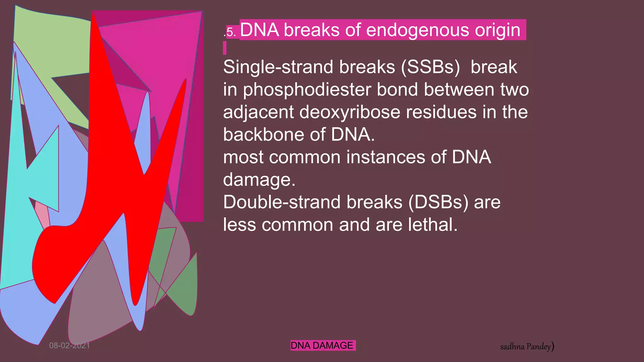 08-02-2021 DNA DAMAGE sadhna Pandey)
.5. DNA breaks of endogenous origin
Single-strand breaks (SSBs) break
in phosphodiester bond between two
adjacent deoxyribose residues in the
backbone of DNA.
most common instances of DNA
damage.
Double-strand breaks (DSBs) are
less common and are lethal.
 