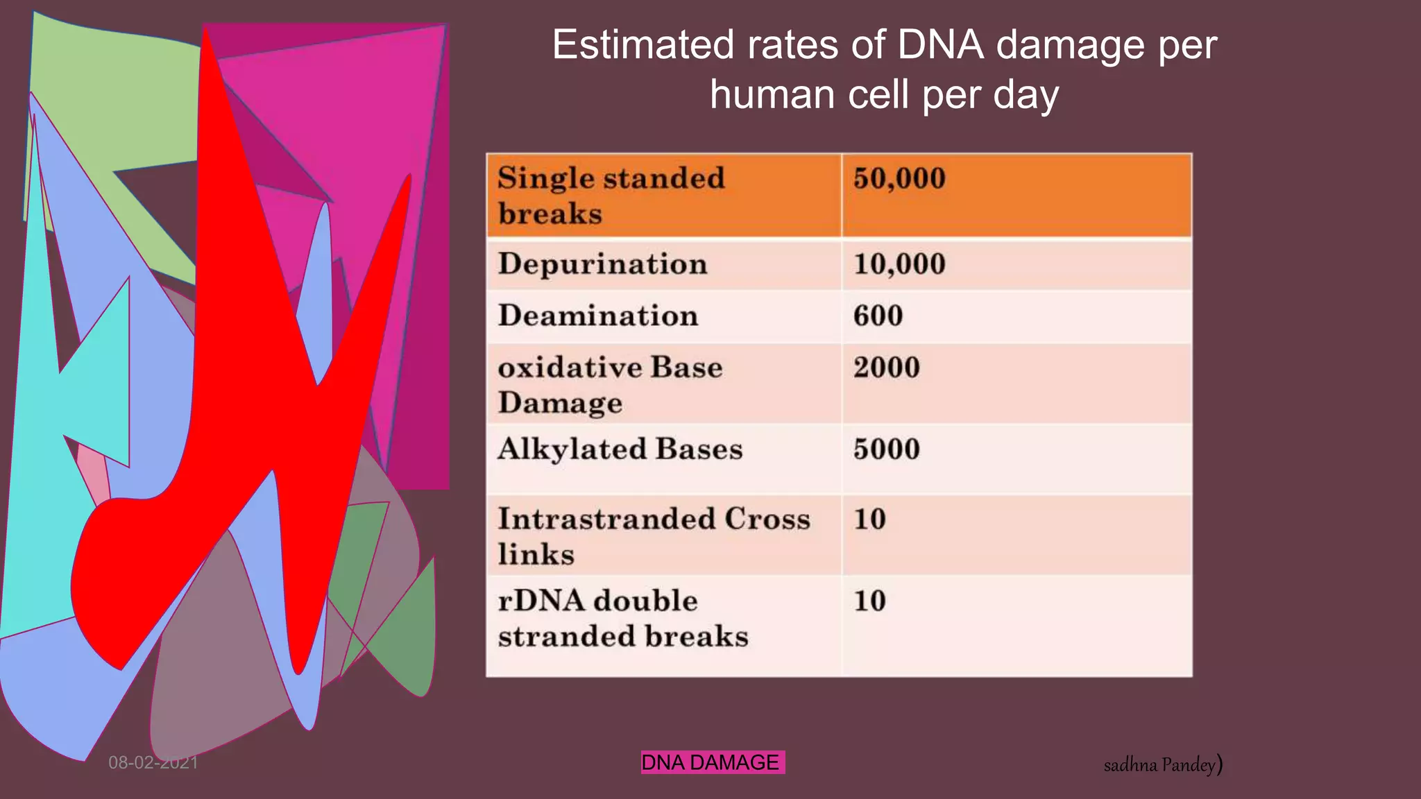 08-02-2021 DNA DAMAGE sadhna Pandey)
Estimated rates of DNA damage per
human cell per day
 