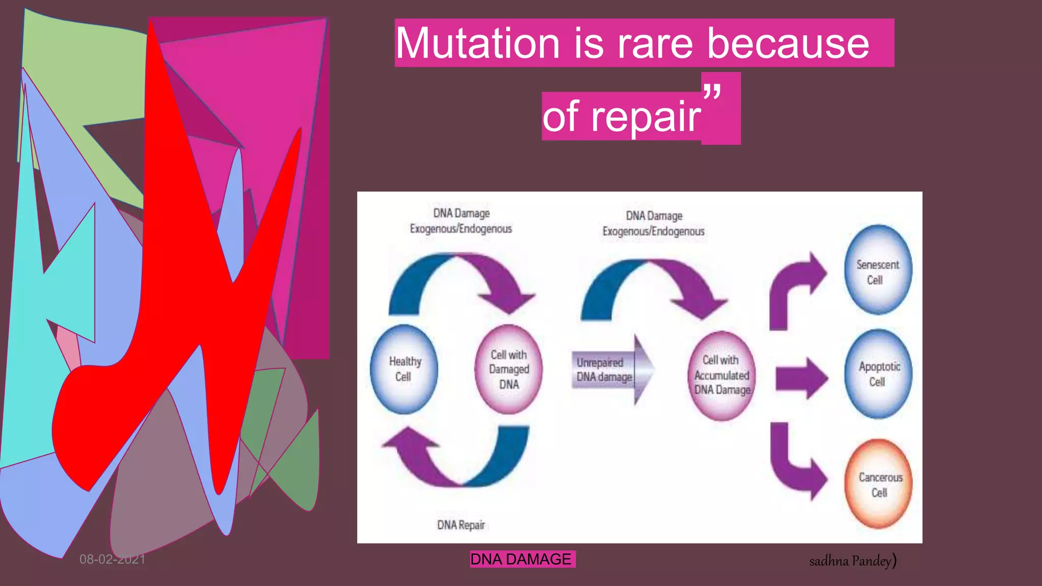 08-02-2021 DNA DAMAGE sadhna Pandey)
Mutation is rare because
of repair”
 