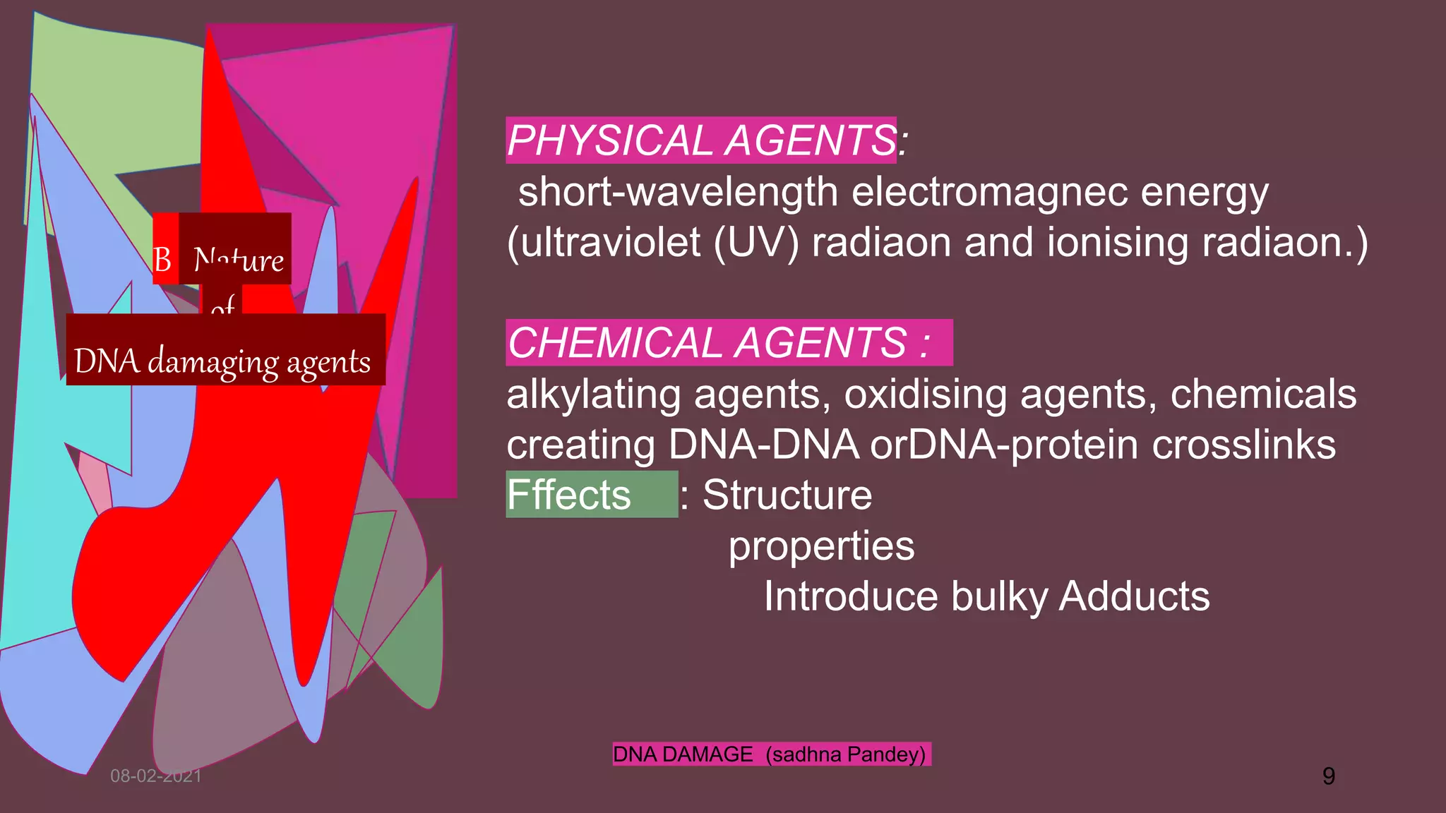 08-02-2021
DNA DAMAGE (sadhna Pandey)
9
PHYSICAL AGENTS:
short-wavelength electromagnec energy
(ultraviolet (UV) radiaon and ionising radiaon.)
CHEMICAL AGENTS :
alkylating agents, oxidising agents, chemicals
creating DNA-DNA orDNA-protein crosslinks
Fffects : Structure
properties
Introduce bulky Adducts
B Nature
of
DNA damaging agents
 