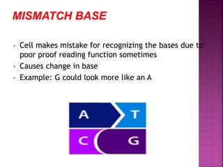 • Cell makes mistake for recognizing the bases due to
poor proof reading function sometimes
• Causes change in base
• Example: G could look more like an A
 