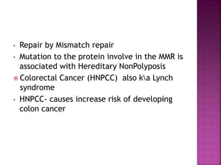 • Repair by Mismatch repair
• Mutation to the protein involve in the MMR is
associated with Hereditary NonPolyposis
 Colorectal Cancer (HNPCC) also ka Lynch
syndrome
• HNPCC- causes increase risk of developing
colon cancer
 