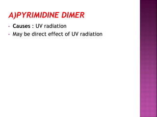 • Causes : UV radiation
• May be direct effect of UV radiation
 