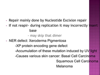 • Repair mainly done by Nucleotide Excixion repair
• If not reapir- during replication it may incorrectly insert
base
- may skip that dimer
• NER defect: Xeroderma Pigmentosa
-XP protein encoding gene defect
-Accumulation of these mutation induced by UV light
-Causes various skin cancer: Basal Cell Carcinoma
Squamous Cell Carcinoma
Melanoma
 