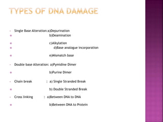 • Single Base Alteration:a)Depurination
 b)Deamination
 c)Alkylation
 d)Base analogue incorporation
 e)Mismatch base
• Double base Alteration: a)Pymidine Dimer
 b)Purine Dimer
• Chain break : a) Single Stranded Break
 b) Double Stranded Break
• Cross linking : a)Between DNA to DNA
 b)Between DNA to Protein
 