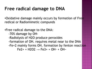 •Oxidative damage mainly occurs by formation of Free
redical or Radiomimetic compunds
•Free radical damage to the DNA:
-70% damage by OH-
-Radiolysis of H2O produce peroxides
-formation of OH. requires metal near to the DNA
-Fe+2 mainly forms OH. formation by fenton reaction
Fe2+ + H2O2 → Fe3+ + OH· + OH−
Free radical damage to DNA
 