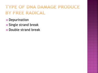  Depurination
 Single strand break
 Double strand break
 