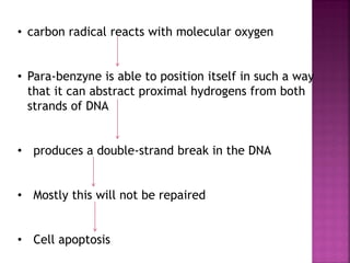 • carbon radical reacts with molecular oxygen
• Para-benzyne is able to position itself in such a way
that it can abstract proximal hydrogens from both
strands of DNA
• produces a double-strand break in the DNA
• Mostly this will not be repaired
• Cell apoptosis
 
