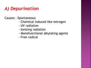 A) Depurination
Causes: -Spontaneous
- Chemical induced like estrogen
- UV radiation
- Ionizing radiation
- Monofunctional alkylating agents
- Free radical
 