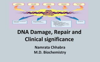 DNA Damage, Repair and
Clinical significance
Namrata Chhabra
M.D. Biochemistry
 