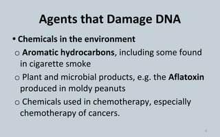 Dna damage, repair and clinical significance