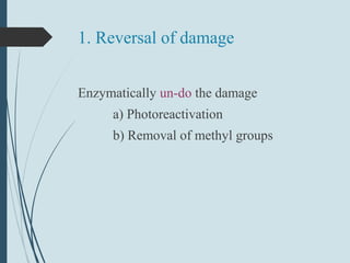 1. Reversal of damage
Enzymatically un-do the damage
a) Photoreactivation
b) Removal of methyl groups
 