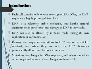 Introduction
 Each cell contains only one or two copies of its DNA, the DNA
sequence is highly protected from harm.
 DNA is a relatively stable molecule, but Earth’s natural
environment is quite toxic, and damage to DNA is inevitable.
 DNA can also be altered by mistakes made during its own
replication or recombination.
 Damage and sequence alterations to DNA are often quickly
repaired, but when they are not, the DNA becomes
permanently altered and harbors a mutation.
 Mutations are changes in DNA sequence, and when mutations
occur in germ-line cells, these changes are inheritable.
 