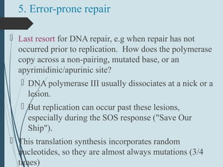 5. Error-prone repair
 Last resort for DNA repair, e.g when repair has not
occurred prior to replication. How does the polymerase
copy across a non-pairing, mutated base, or an
apyrimidinic/apurinic site?
 DNA polymerase III usually dissociates at a nick or a
lesion.
 But replication can occur past these lesions,
especially during the SOS response ("Save Our
Ship").
 This translation synthesis incorporates random
nucleotides, so they are almost always mutations (3/4
times)
 