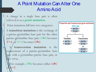 A Point Mutation CanAlter One
AminoAcid
 A change in a single base pair is often
referred to as a point mutation.
 Point mutations fall into two categories:
i. A transition mutation is the exchange of
a purine-pyrimidine base pair for the other
purine-pyrimidine base pair: C G≡ becomes
T=A, or T=A becomes C G.≡
ii. A transversion mutation is the
replacement of a purine-pyrimidine base
pair with a pyrimidine-purine base pair, or
vice versa.
For example, C G≡ becomes either G C≡
or A=T.
 