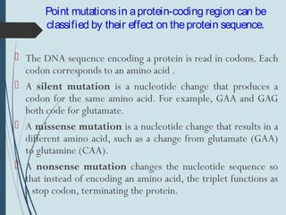 Point mutationsin aprotein-coding region can be
classified by their effect on theprotein sequence.
 The DNA sequence encoding a protein is read in codons. Each
codon corresponds to an amino acid .
 A silent mutation is a nucleotide change that produces a
codon for the same amino acid. For example, GAA and GAG
both code for glutamate.
 A missense mutation is a nucleotide change that results in a
different amino acid, such as a change from glutamate (GAA)
to glutamine (CAA).
 A nonsense mutation changes the nucleotide sequence so
that instead of encoding an amino acid, the triplet functions as
a stop codon, terminating the protein.
 