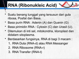 pengantaar mata kuliah pada materi DNA dan RNA 2024.pptx