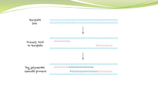 Dna data storage | PPTX