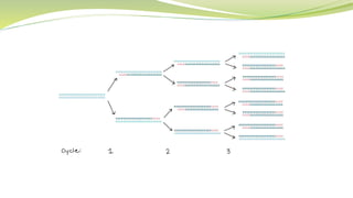 Dna data storage | PPTX