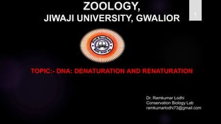 ZOOLOGY,
JIWAJI UNIVERSITY, GWALIOR 1
TOPIC:- DNA: DENATURATION AND RENATURATION
Dr. Ramkumar Lodhi
Conservation Biology Lab
ramkumarlodhi73@gmail.com
 