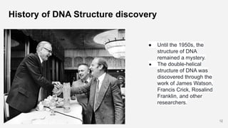 History of DNA Structure discovery
● Until the 1950s, the
structure of DNA
remained a mystery.
● The double-helical
struct...