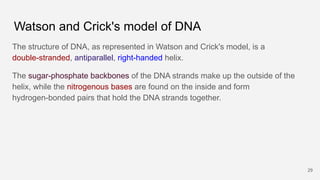 Watson and Crick's model of DNA
The structure of DNA, as represented in Watson and Crick's model, is a
double-stranded, an...
