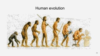 Human evolution
55
 