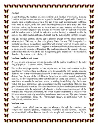 2
Nucleus
In cell biology, the nucleus (pl. nuclei; from Latin nucleus or nuculeus, meaning
kernel or seed) is a membrane-bound organelle found in eukaryotic cells. Eukaryotes
usually have a single nucleus, but a few cell types, such as mammalian red blood
cells, have no nuclei, and a few others including osteoclasts have many. The main
structures making up the nucleus are the nuclear envelope, a double membrane that
encloses the entire organelle and isolates its contents from the cellular cytoplasm;
and the nuclear matrix (which includes the nuclear lamina), a network within the
nucleus that adds mechanical support, much like the cytoskeleton supports the cell.
The cell nucleus contains all the cell's genome, except for the small amount of
mitochondrial DNA and, in plant cells, plastid DNA. Nuclear DNA is organized as
multiple long linear molecules in a complex with a large variety of proteins, such as
histones, to form chromosomes. The genes within these chromosomes are structured
in such a way to promote cell function. The nucleus maintains the integrity of genes
and controls the activities of the cell by regulating gene expression—the nucleus is,
therefore, the control center of the cell.
Nuclear envelope and pores
A cross section of a nuclear pore on the surface of the nuclear envelope (1) the outer
ring, (2) spokes, (3) basket, and (4) filaments.
The nuclear envelope consists of two membranes, an inner and an outer nuclear
membrane. Together, these membranes serve to separate the cell's genetic material
from the rest of the cell contents and allow the nucleus to maintain an environment
distinct from the rest of the cell. Despite their close apposition around much of the
nucleus, the two membranes differ substantially in shape and contents. The inner
membrane surrounds the nuclear content, providing its defining edge Embedded
within the inner membrane, various proteins bind the intermediate filaments that
give the nucleus its structure. The outer membrane encloses the inner membrane and
is continuous with the adjacent endoplasmic reticulum membraneAs part of the
endoplasmic reticulum membrane, the outer nuclear membrane is studded with
ribosomes that are actively translating proteins across membrane. The space between
the two membranes, called the "perinuclear space", is continuous with the
endoplasmic reticulum lumen
Nuclear pore
Nuclear pores, which provide aqueous channels through the envelope, are
composed of multiple proteins, collectively referred to as nucleoporins. The pores
are about 60–80 million Daltons in molecular weight and consist of around 50 (in
 