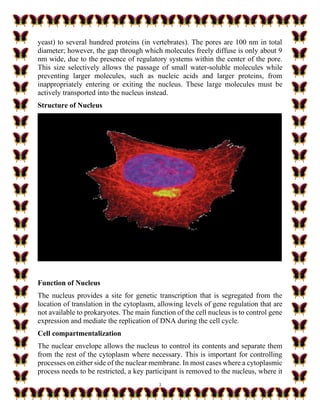 3
yeast) to several hundred proteins (in vertebrates). The pores are 100 nm in total
diameter; however, the gap through which molecules freely diffuse is only about 9
nm wide, due to the presence of regulatory systems within the center of the pore.
This size selectively allows the passage of small water-soluble molecules while
preventing larger molecules, such as nucleic acids and larger proteins, from
inappropriately entering or exiting the nucleus. These large molecules must be
actively transported into the nucleus instead.
Structure of Nucleus
Function of Nucleus
The nucleus provides a site for genetic transcription that is segregated from the
location of translation in the cytoplasm, allowing levels of gene regulation that are
not available to prokaryotes. The main function of the cell nucleus is to control gene
expression and mediate the replication of DNA during the cell cycle.
Cell compartmentalization
The nuclear envelope allows the nucleus to control its contents and separate them
from the rest of the cytoplasm where necessary. This is important for controlling
processes on either side of the nuclear membrane. In most cases where a cytoplasmic
process needs to be restricted, a key participant is removed to the nucleus, where it
 