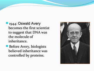 1944: Oswald Avery

becomes the first scientist
to suggest that DNA was
the molecule of
inheritance.
Before Avery, biologists
believed inheritance was
controlled by proteins.

 