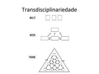 Transdisciplinariedade
 