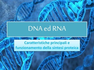 DNA ed RNA
Caratteristiche principali e
funzionamento della sintesi proteica
 