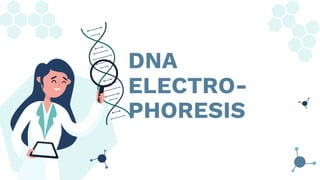 DNA
ELECTRO-
PHORESIS
 
