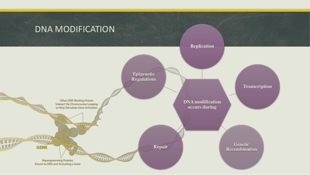 Dna Modifying Enzymes by Arijit Pani