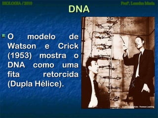 DNA
O
modelo
de
Watson e Crick
(1953) mostra o
DNA como uma
fita
retorcida
(Dupla Hélice).

 